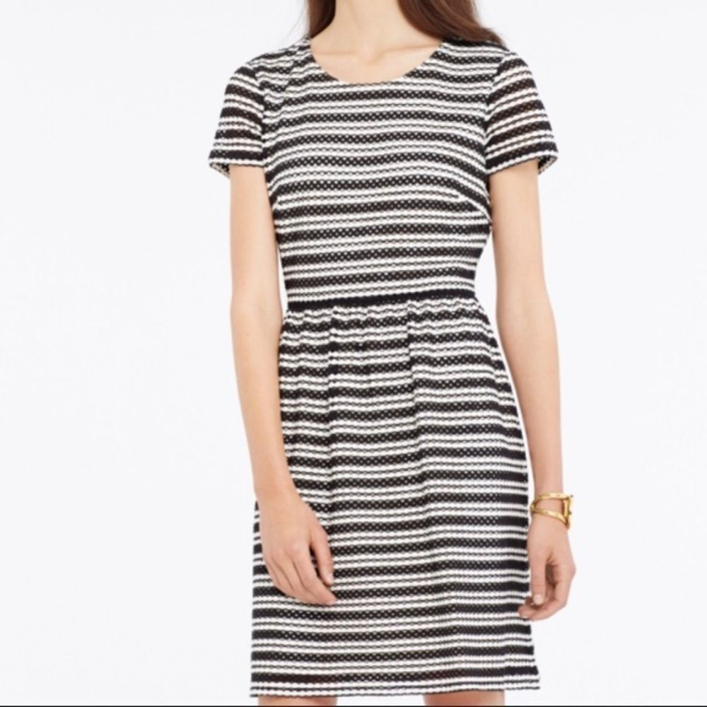 Ann Taylor Black Eyelet Fit and Flare Dress Size 6